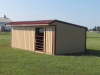 10x20 Burgundy / Tan 